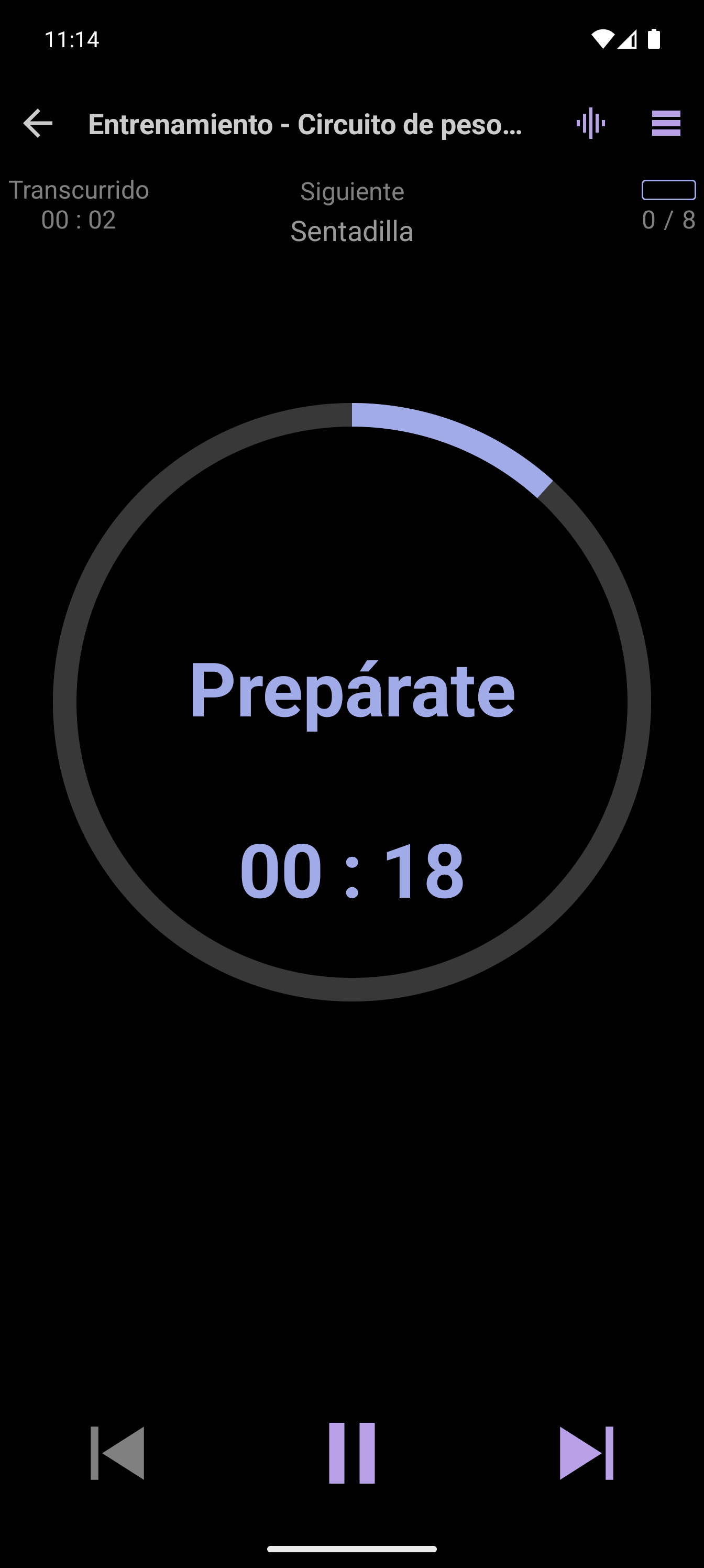 Reproductor simple de CrazyFit ejecutando el circuito de peso corporal para principiantes.