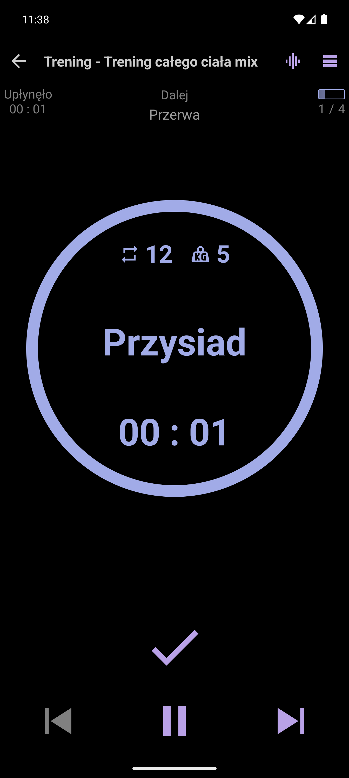 Prosty odtwarzacz prezentujący bieżące ćwiczenie i elementy sterujące treningiem