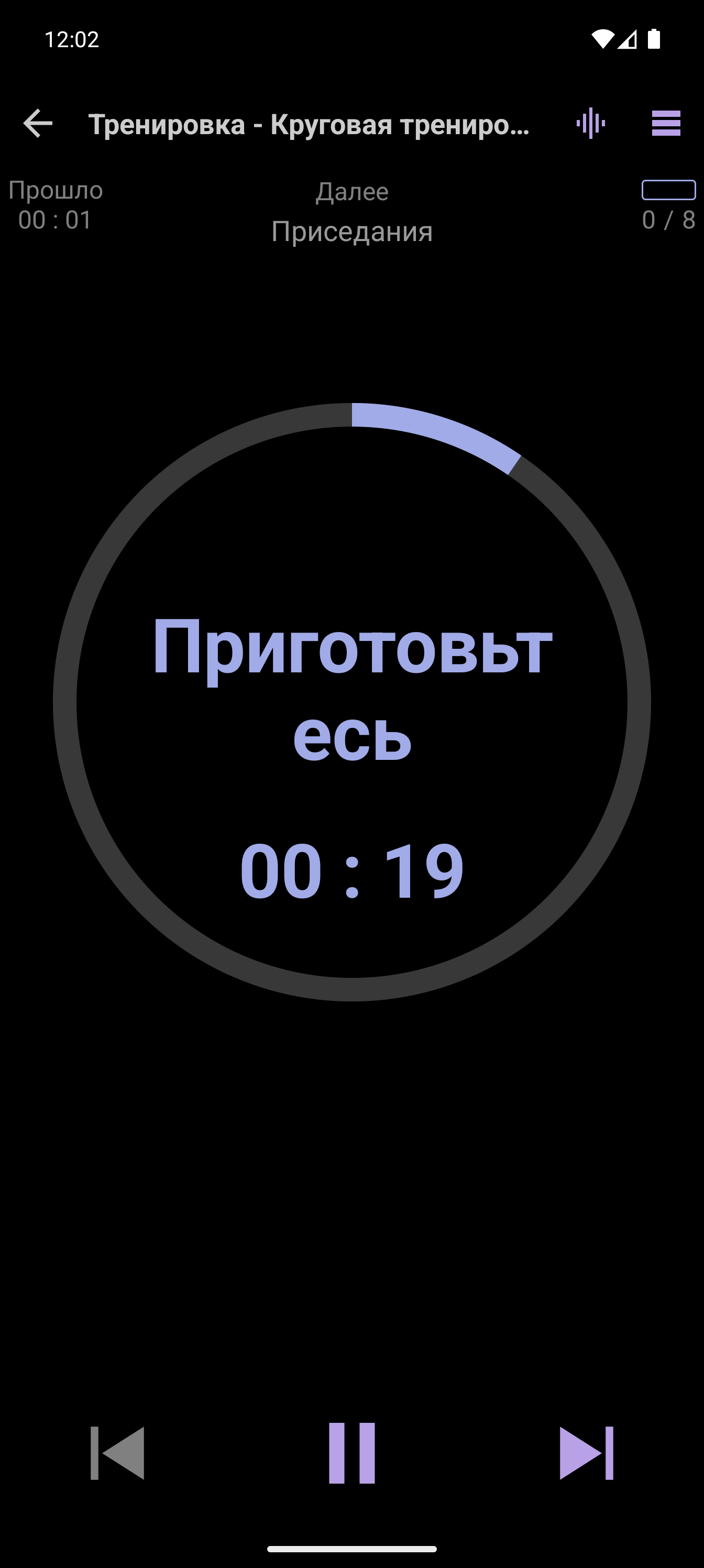 Упрощенный плеер CrazyFit: выполнение круговой тренировки с собственным весом для начинающих